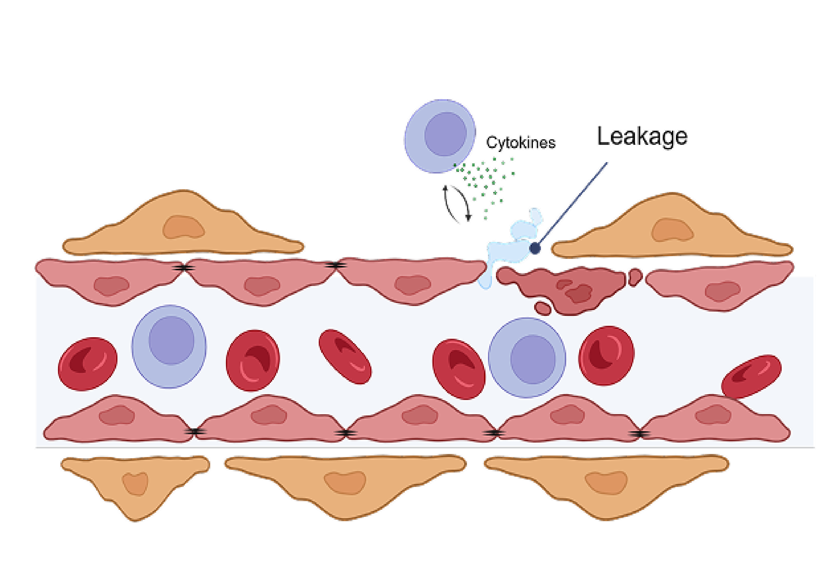 treatment image