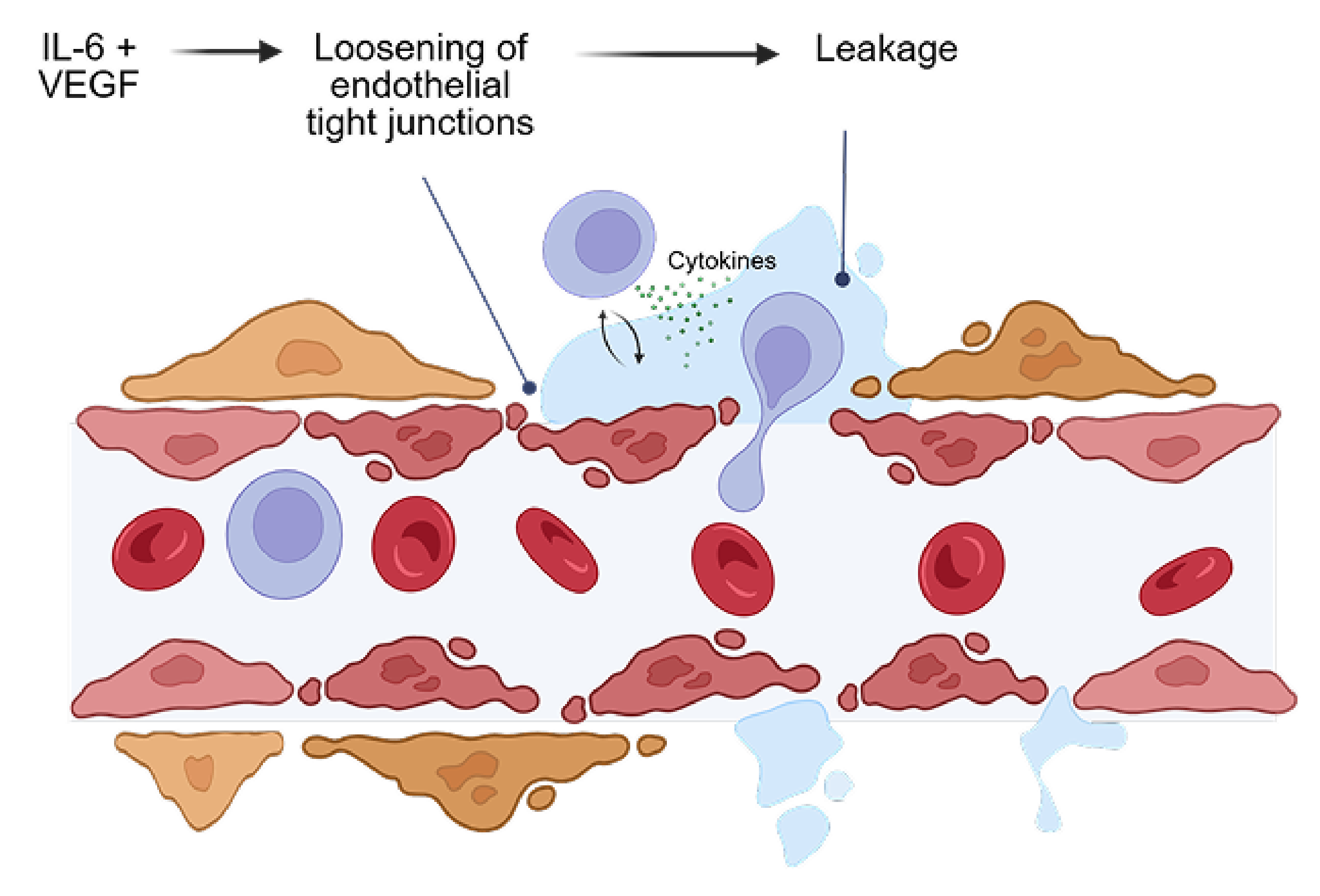 treatment image