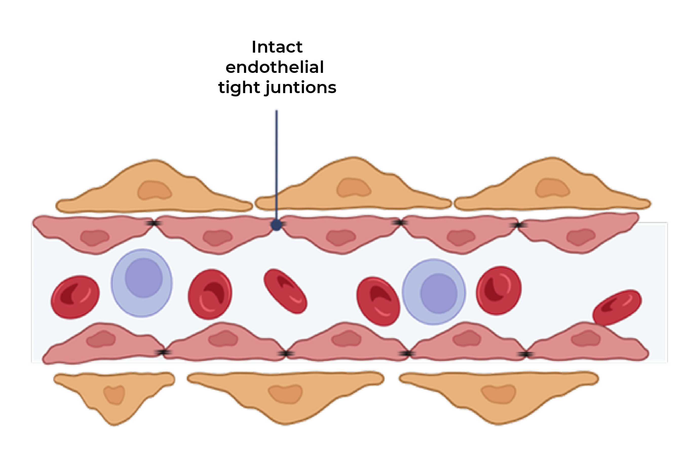 treatment image