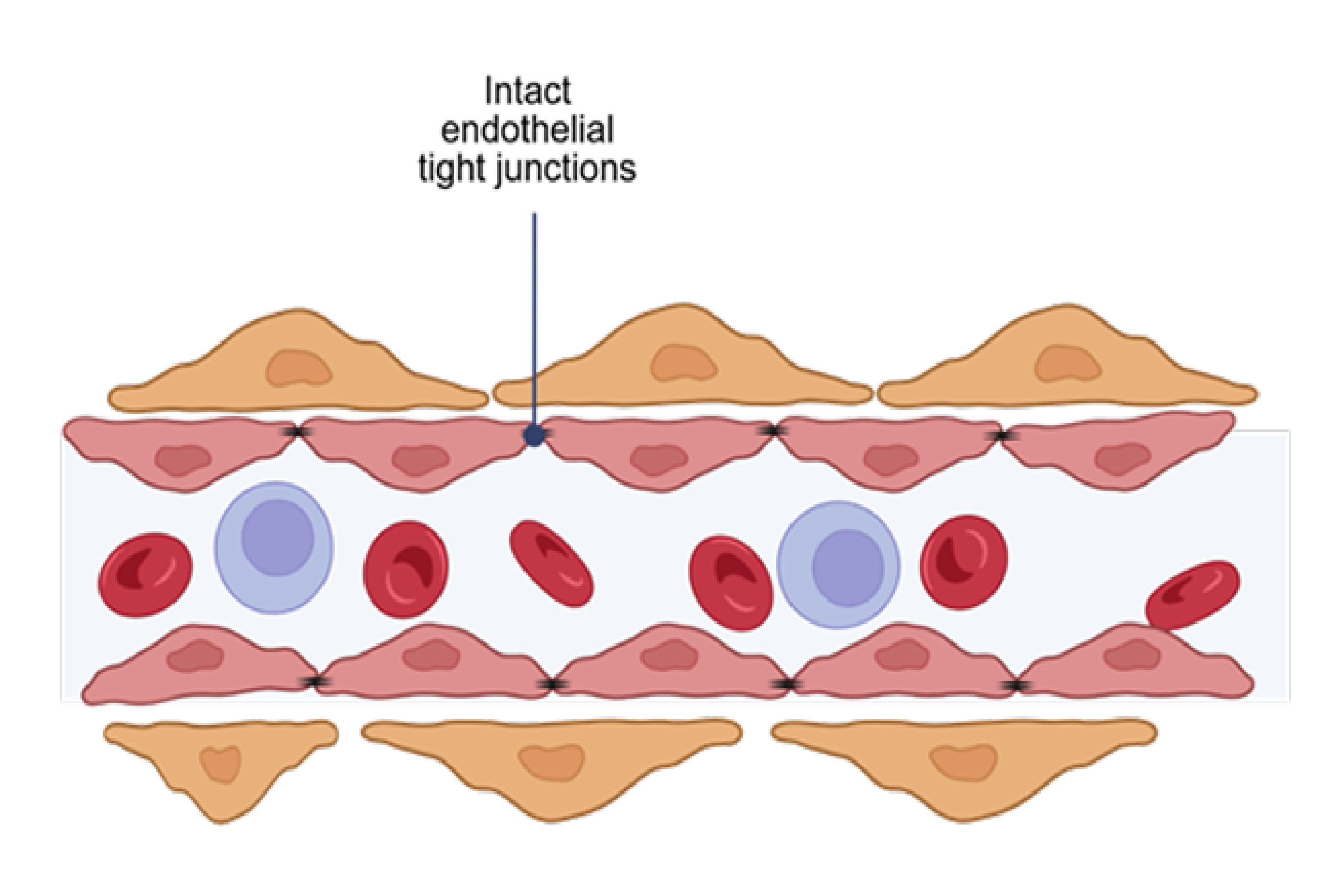 treatment image