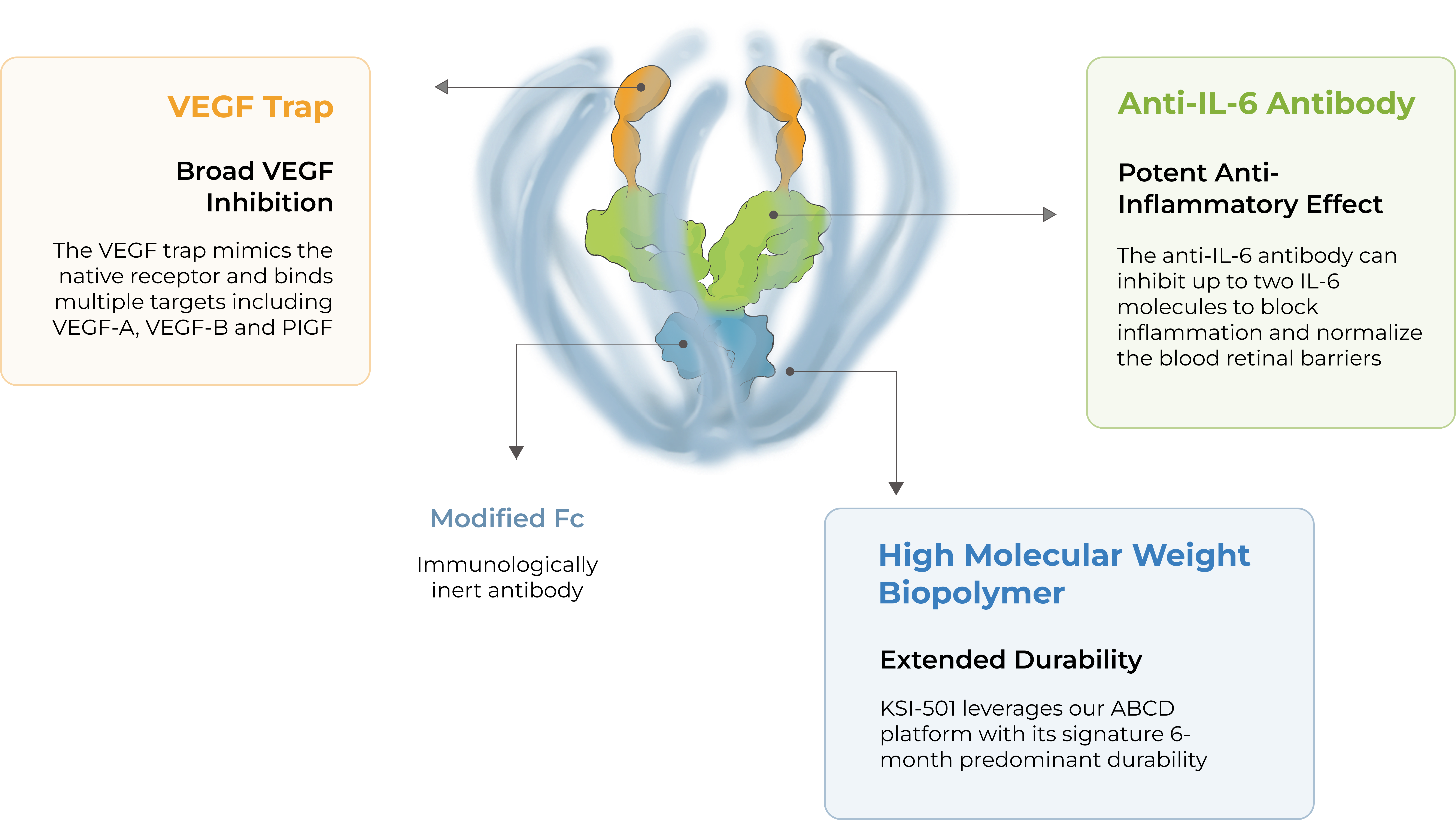 KSI-501 is a bispecific ABC designed to target IL-6 mediated inflammation and VEGF-mediated vascular permeability